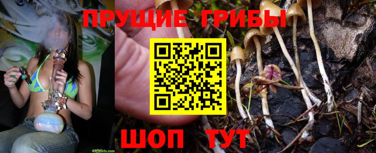 Красноярск  Галлюциногенные грибы Cubensis  где найти   Галлюциногенные грибы MAGIC MUSHROOMS  Вход с VPN 