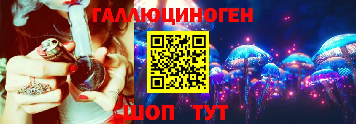 Псилоцибиновые грибы Psilocybe Красноярск